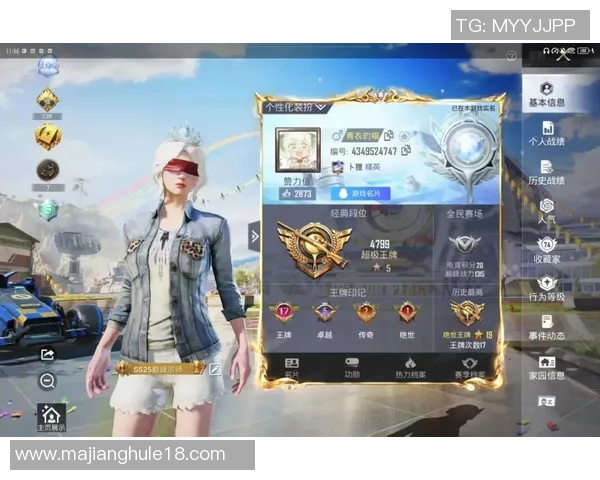 揭秘和平精英成功背后的故事与赵静的独特见解